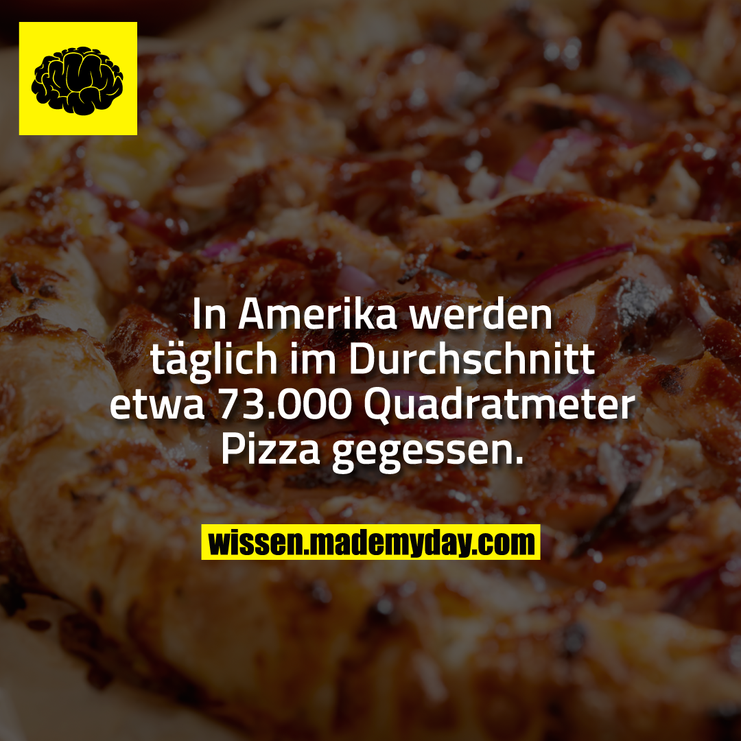 In Amerika werden täglich im Durchschnitt etwa 73.000 Quadratmeter Pizza gegessen.
