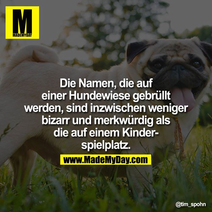 Die Namen, die auf einer Hundewiese gebrüllt werden, sind inzwischen weniger bizarr und merkwürdig als die auf einem Kinderspielplatz.