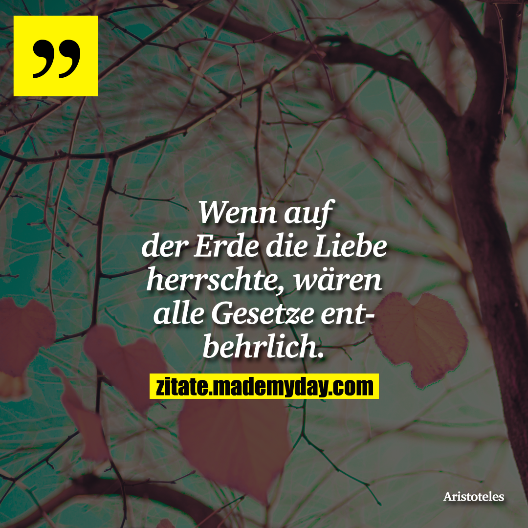 Wenn auf der Erde die Liebe herrschte, wären alle Gesetze entbehrlich.