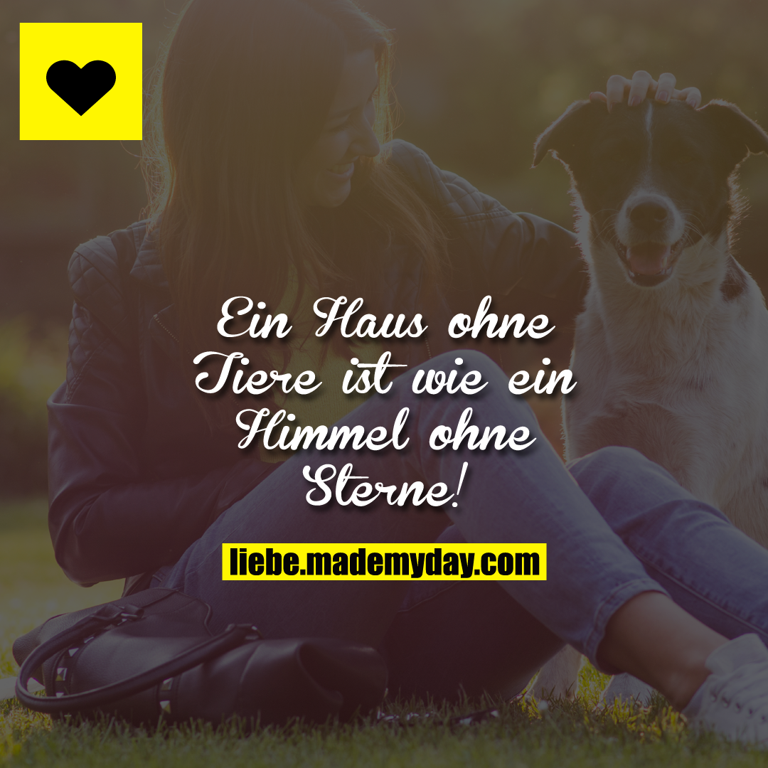 Ein Haus ohne Tiere ist wie ein Himmel ohne Sterne!
