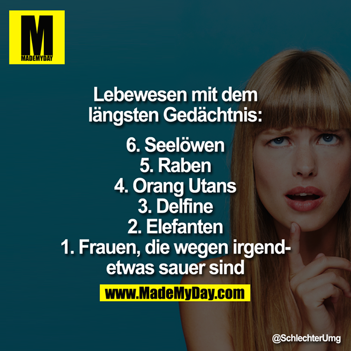 Lebewesen mit dem längsten Gedächtnis:<br />
6. Seelöwen<br />
5. Raben<br />
4. Orang Utans<br />
3. Delfine<br />
2. Elefanten<br />
1. Frauen, die über irgendetwas sauer sind