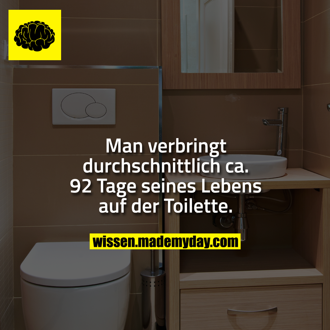 Man verbringt durchschnittlich ca. 92 Tage seines Lebens auf der Toilette.