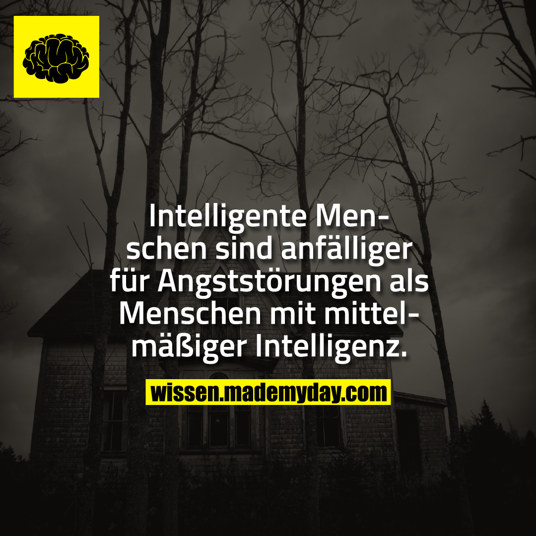 Intelligente Menschen sind anfälliger für Angststörungen als Menschen mit mittelmäßiger Intelligenz.