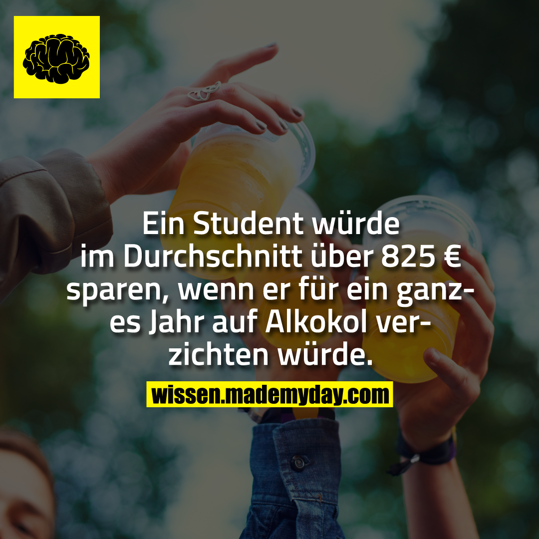 Ein Student würde im Durchschnitt über 825 € sparen, wenn er für ein ganzes Jahr auf Alkohol verzichten würde.