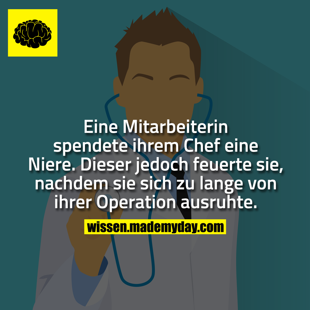 Eine Mitarbeiterin spendete ihrem Chef eine Niere.<br />
Dieser jedoch feuerte sie, nachdem sie sich zu lange von ihrer Operation ausruhte.