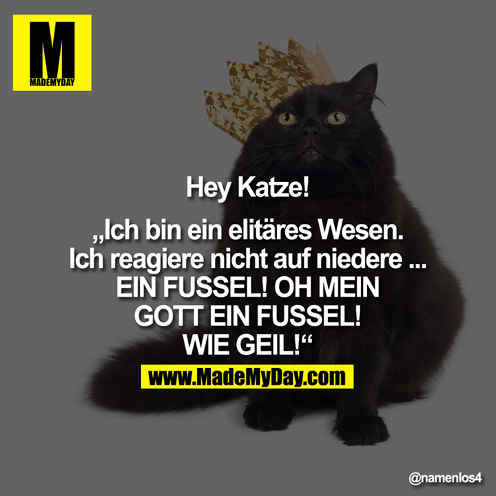 Hey Katze!<br />
<br />
"Ich bin ein elitäres Wesen. Ich reagiere nicht auf niedere ...<br />
EIN FUSSEL! OH MEIN GOTT EIN FUSSEL! WIE GEIL!”