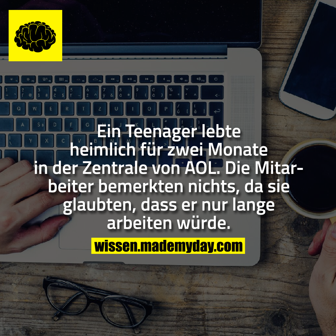 Ein Teenager lebte heimlich für zwei Monate in der Zentrale von AOL.<br />
Die Mitarbeiter bemerkten nichts, da sie glaubten, dass er nur lange arbeiten würde.