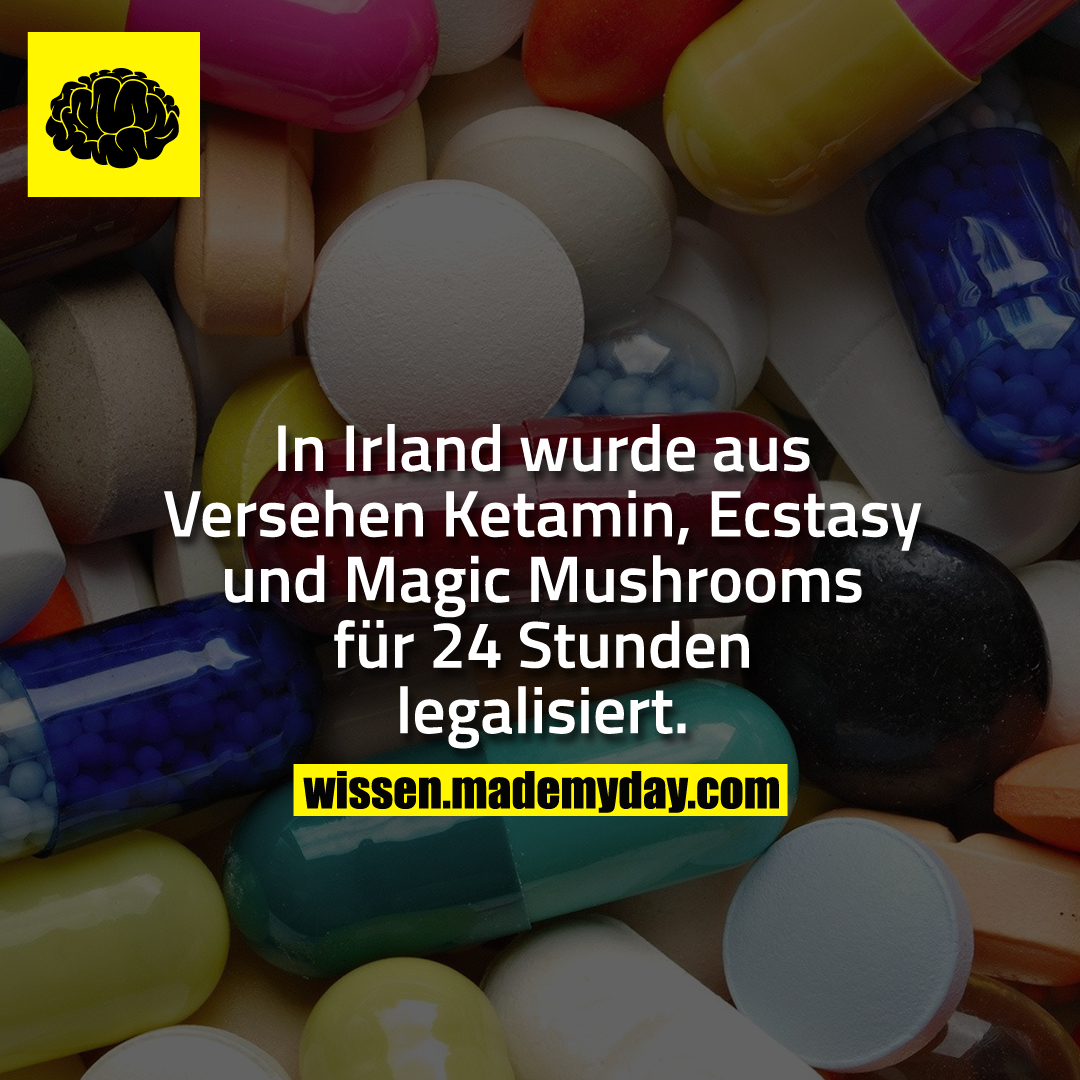 In Irland wurde aus Versehen Ketamin, Ecstasy und Magic Mushrooms für 24 Stunden legalisiert.