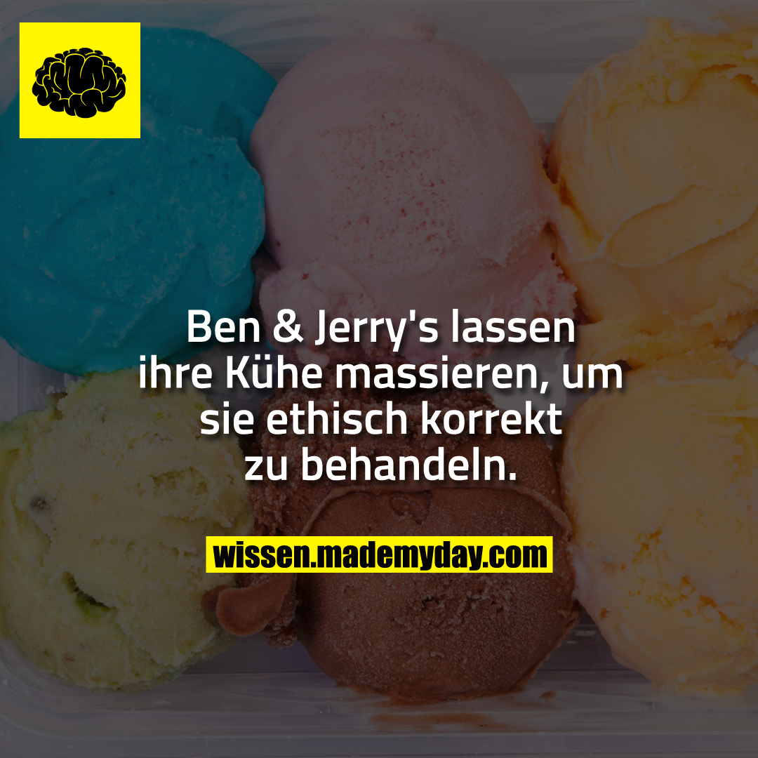 Ben & Jerry's lassen ihre Kühe massieren, um sie ethisch korrekt zu behandeln.