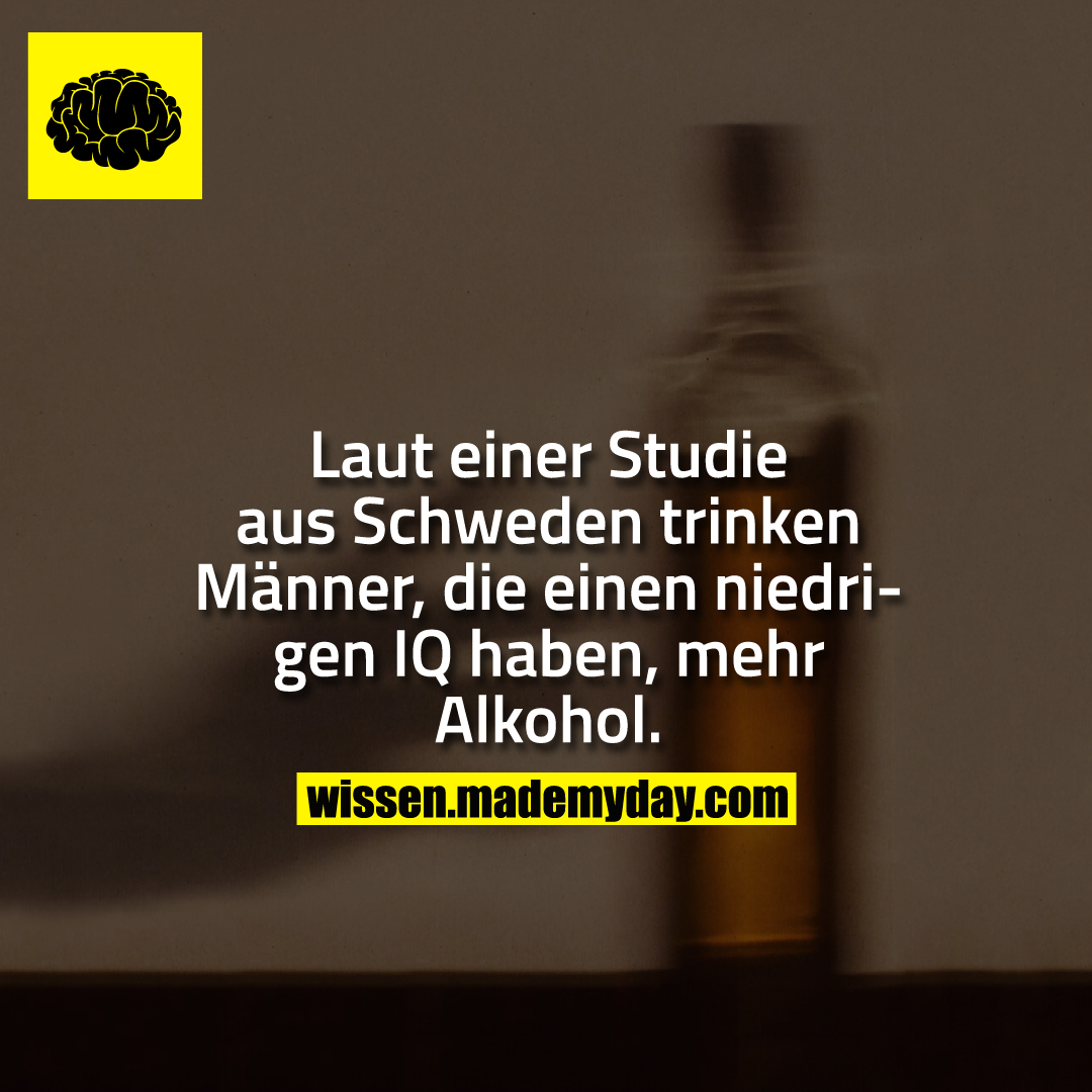 Laut einer Studie aus Schweden trinken Männer, die einen niedrigen IQ haben, mehr Alkohol.