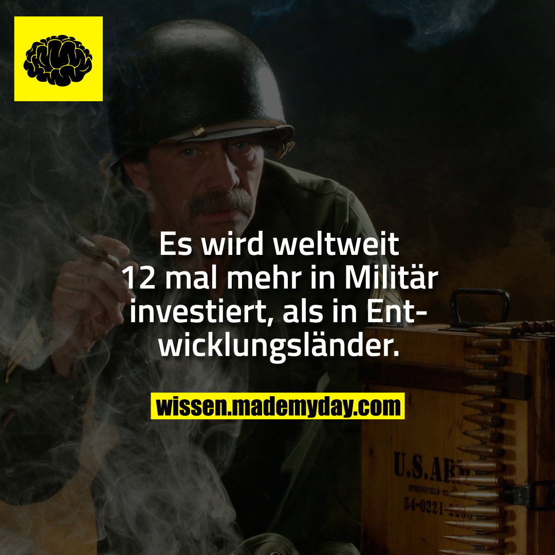 Es wird weltweit 12 mal mehr in Militär investiert, als in Entwicklungsländer.