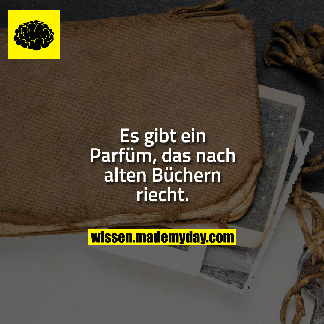 Es gibt ein Parfüm, das nach alten Büchern riecht.
