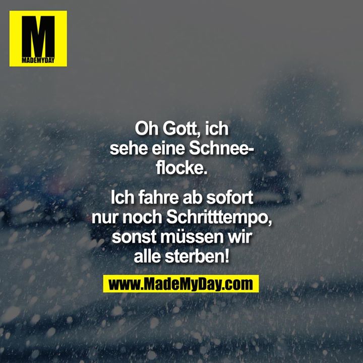 Oh Gott, ich sehe eine Schneeflocke.<br />
<br />
Ich fahre ab sofort nur noch Schritttempo, sonst müssen wir alle sterben!