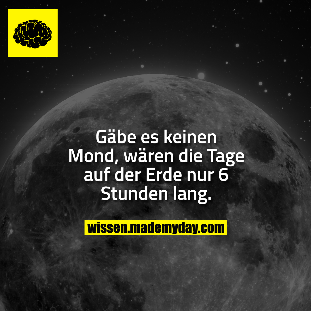 Gäbe es keinen Mond, wären die Tage auf der Erde nur 6 Stunden lang.