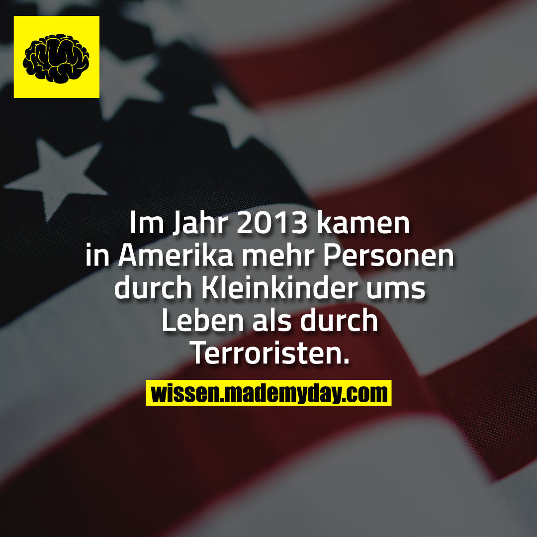 Im Jahr 2013 kamen in Amerika mehr Personen durch Kleinkinder ums Leben als durch Terroristen.