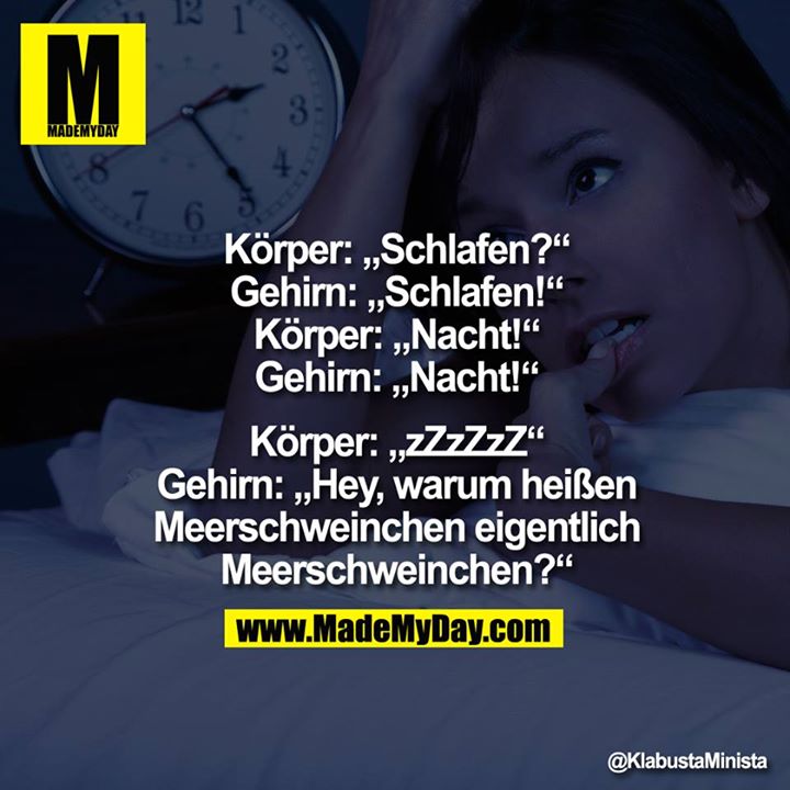 Körper: „Schlafen?"<br />
Gehirn:„Schlafen!"<br />
Körper: „Nacht!"<br />
Gehirn:„Nacht!"<br />
<br />
Körper: „zZzZzZ"<br />
Gehirn:„Hey, warum heißen Meerschweinchen eigentlich <br />
Meerschweinchen?"