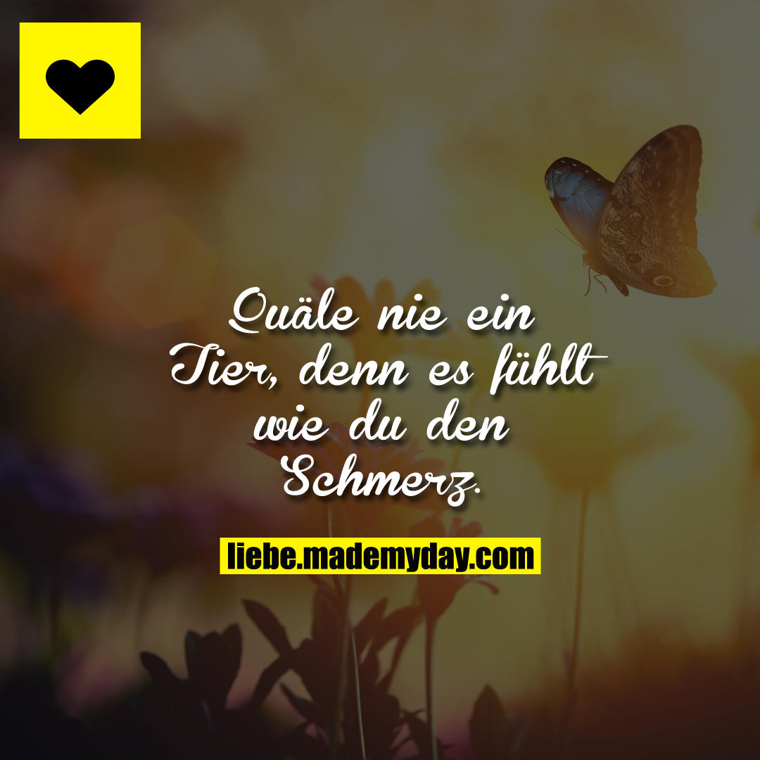 Quäle nie ein Tier, denn es fühlt wie du den Schmerz.