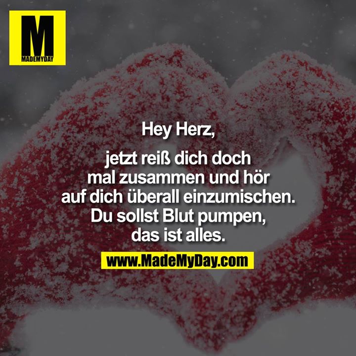 Hey Herz,<br />
<br />
jetzt reiß` dich doch mal zusammen und hör auf dich überall einzumischen. Du sollst Blut pumpen, das ist alles.