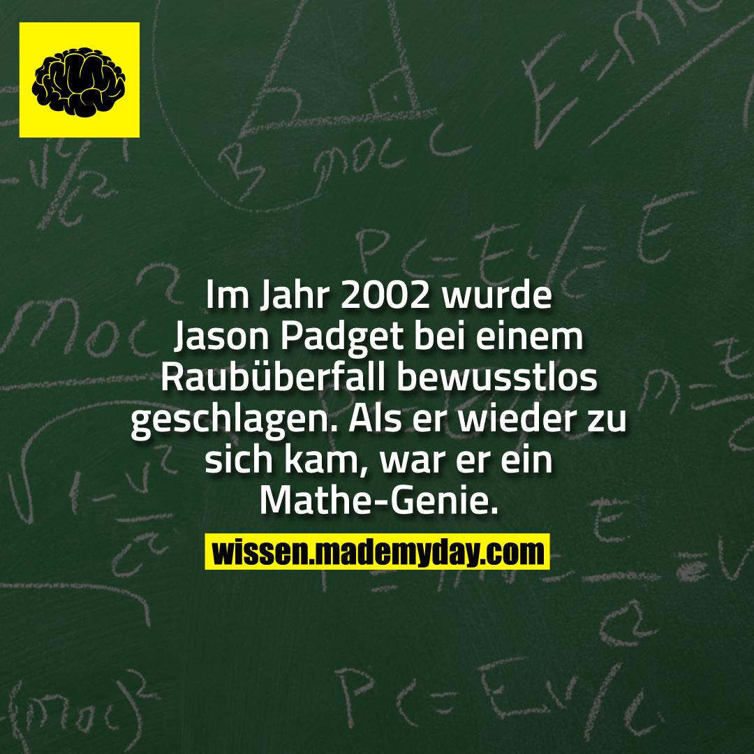 Im Jahr 2002 wurde Jason Padget bei einem Raubüberfall bewusstlos geschlagen.<br />
Als er wieder zu sich kam, war er ein Mathe-Genie.