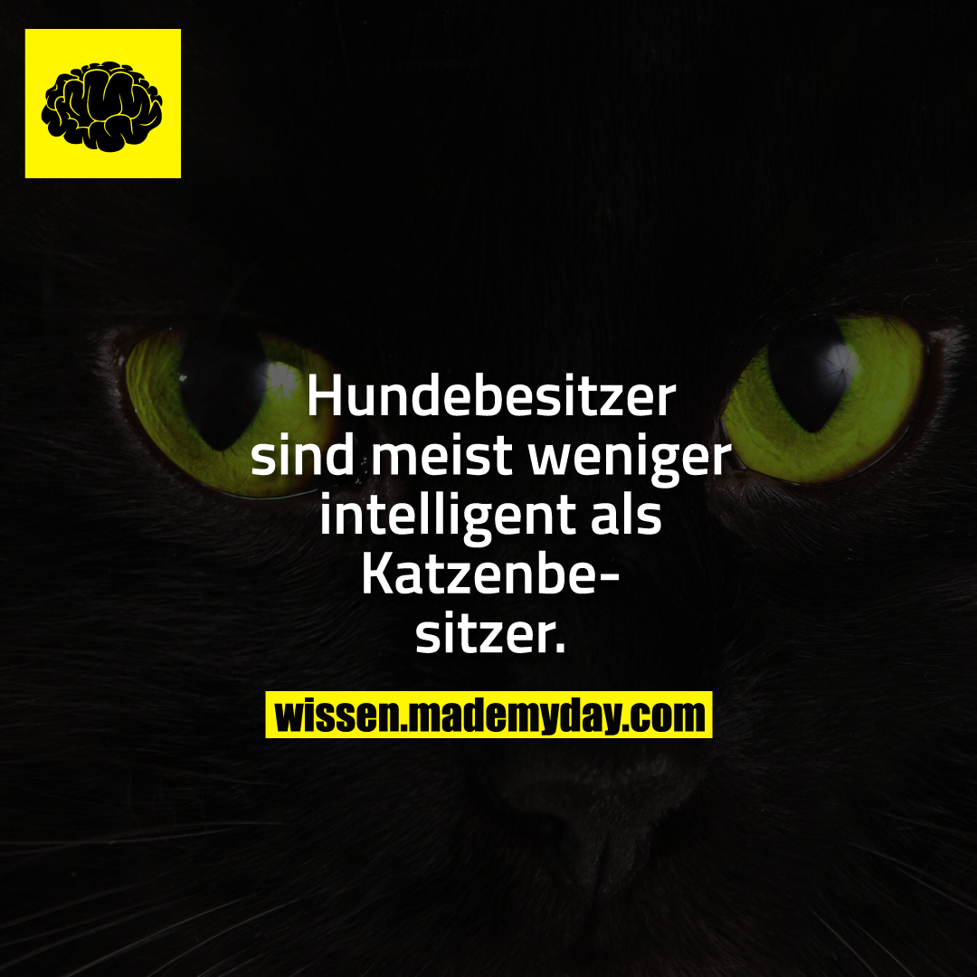 Hundebesitzer sind meist weniger intelligent als Katzenbesitzer.