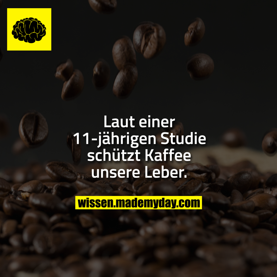Laut einer 11-jährigen Studie schützt Kaffee unsere Leber.