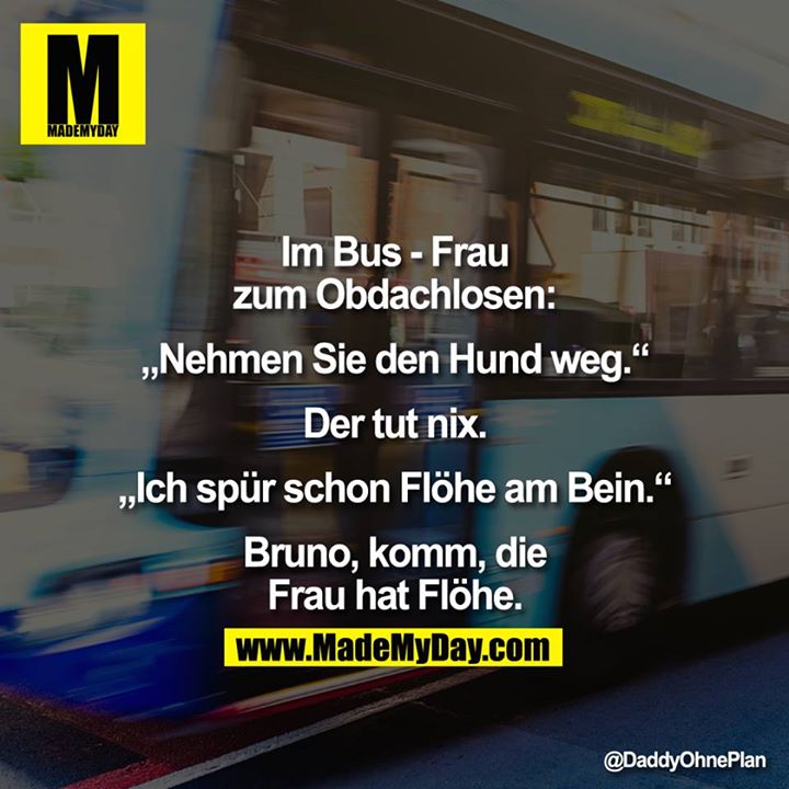 Im Bus - Frau zum Obdachlosen:<br />
<br />
"Nehmen Sie den Hund weg."<br />
<br />
Der tut nix.<br />
<br />
<br />
"Ich spür schon Flöhe am Bein."<br />
<br />
Bruno, komm, die Frau hat Flöhe.