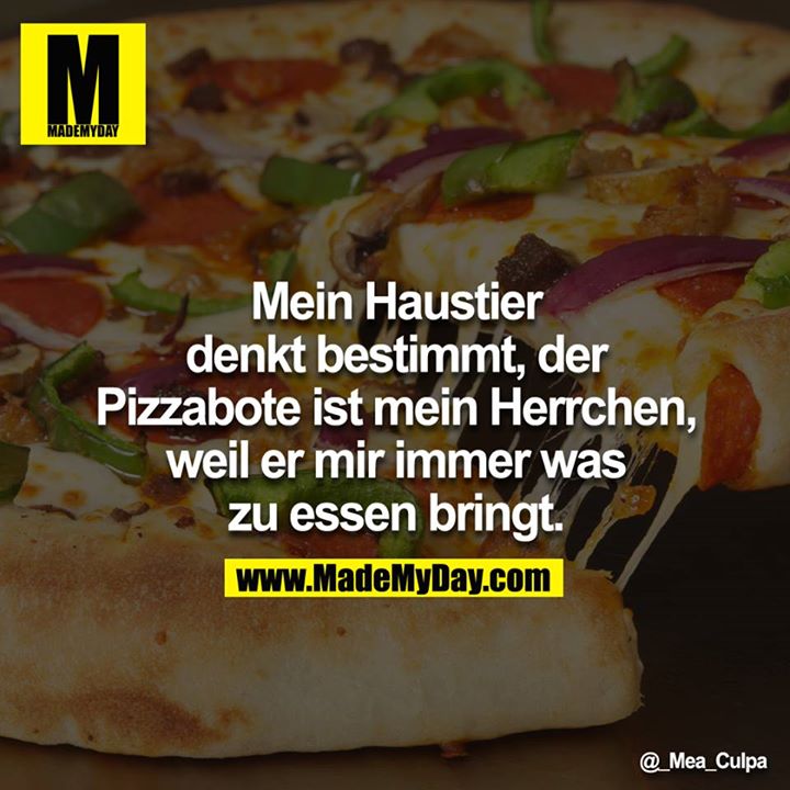 Mein Haustier denkt bestimmt, der Pizzabote ist mein Herrchen, weil er mir immer was zu Essen bringt.