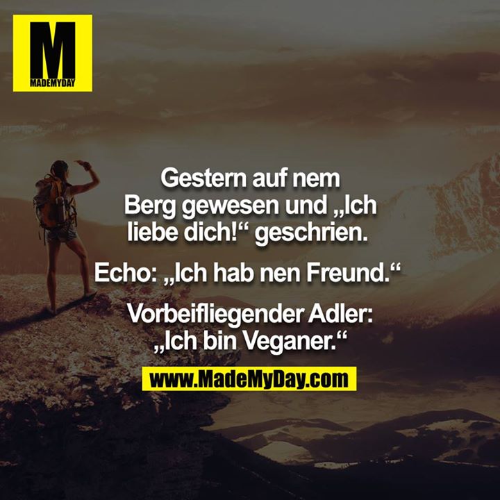 Gestern auf nem Berg gewesen und "Ich liebe dich!" geschrien. Echo: "Ich hab nen Freund." Vorbeifliegender Adler: "Ich bin Veganer."