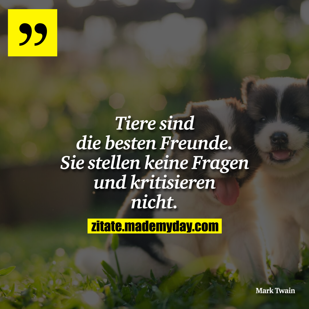 Tiere sind die besten Freunde. Sie stellen keine Fragen und kritisieren nicht.