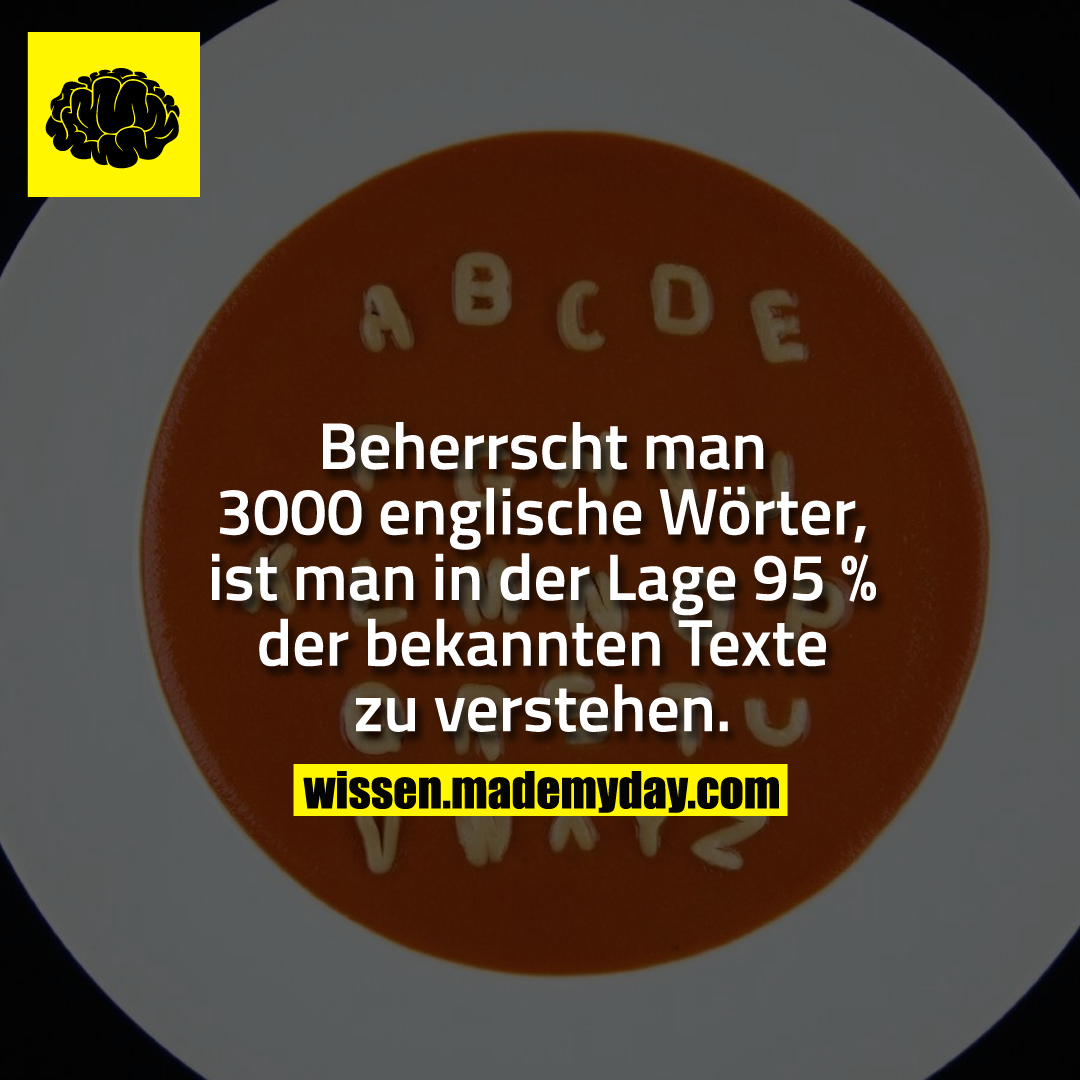 Beherrscht man 3000 englische Wörter, ist man in der Lage 95 % der bekannten Texte zu verstehen.