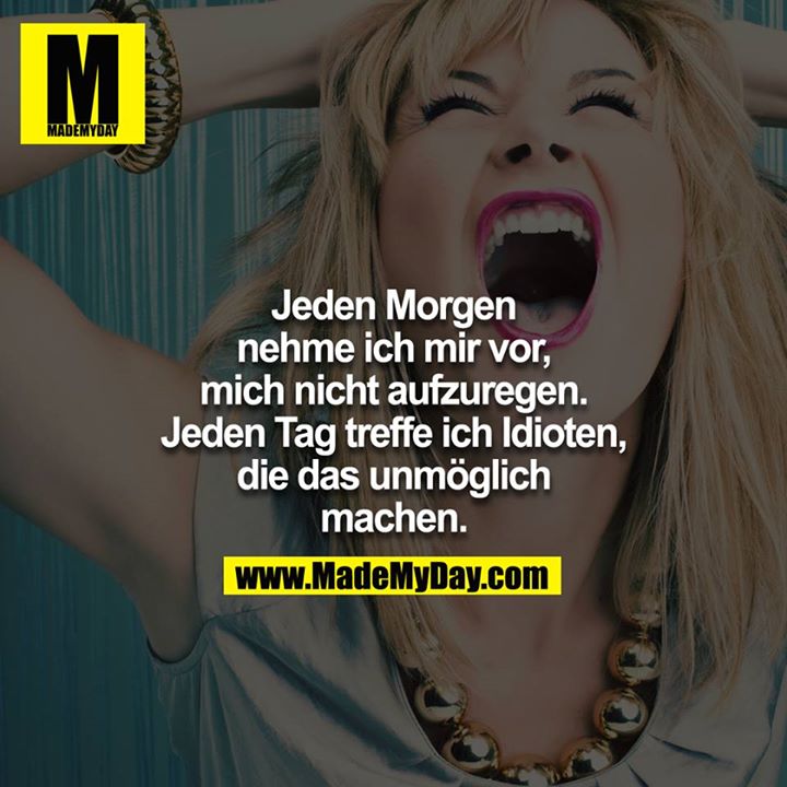 Jeden Morgen nehme ich mir vor, mich nicht aufzuregen. Jeden Tag treffe ich Idioten, die das unmöglich machen.