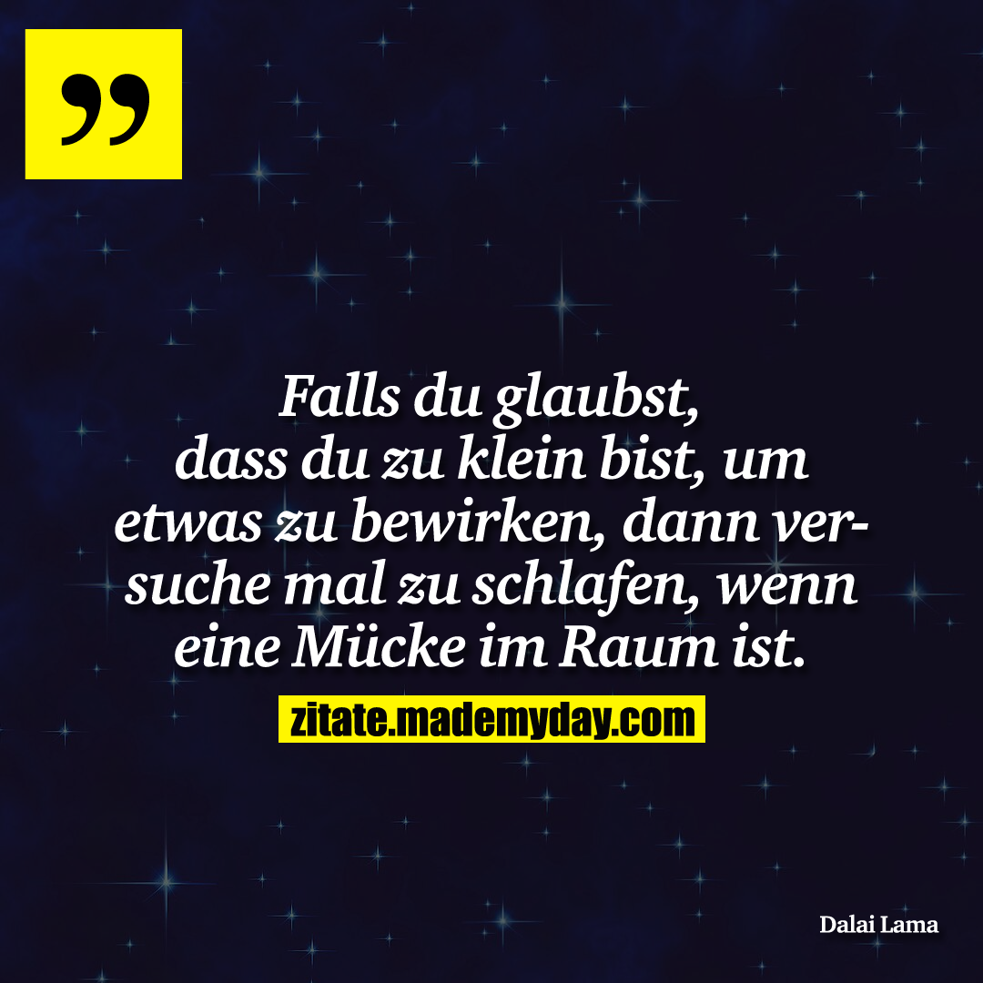 Falls du glaubst, dass du zu klein bist, um etwas zu bewirken, dann versuche mal zu schlafen, wenn eine Mücke im Raum ist.