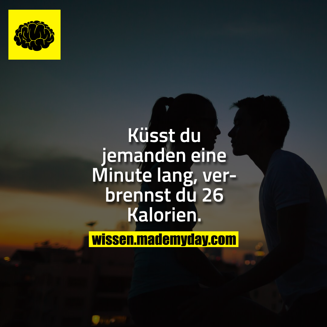 Küsst du jemanden eine Minute lang, verbrennst du 26 Kalorien.