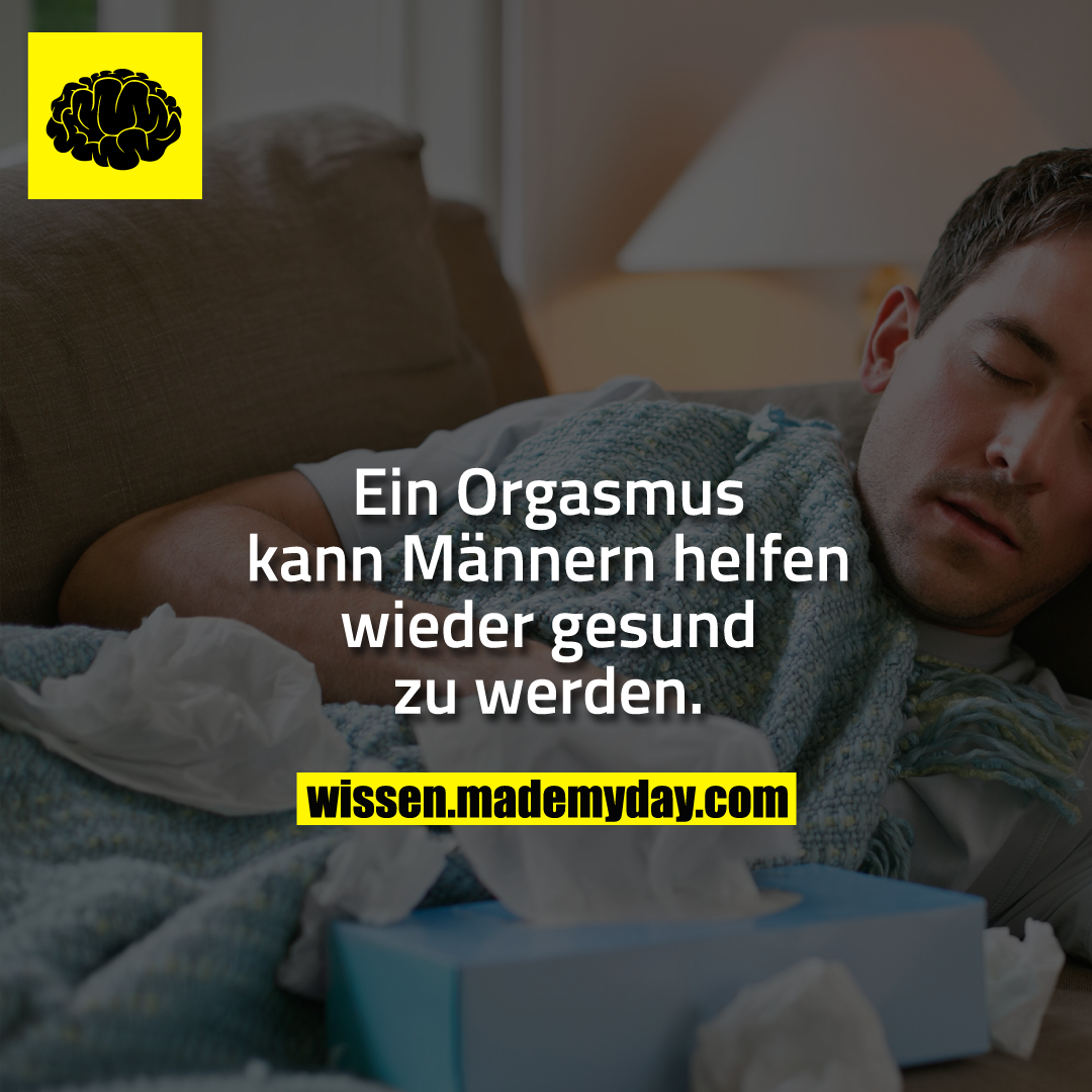 Ein Orgasmus kann Männern helfen wieder gesund zu werden.