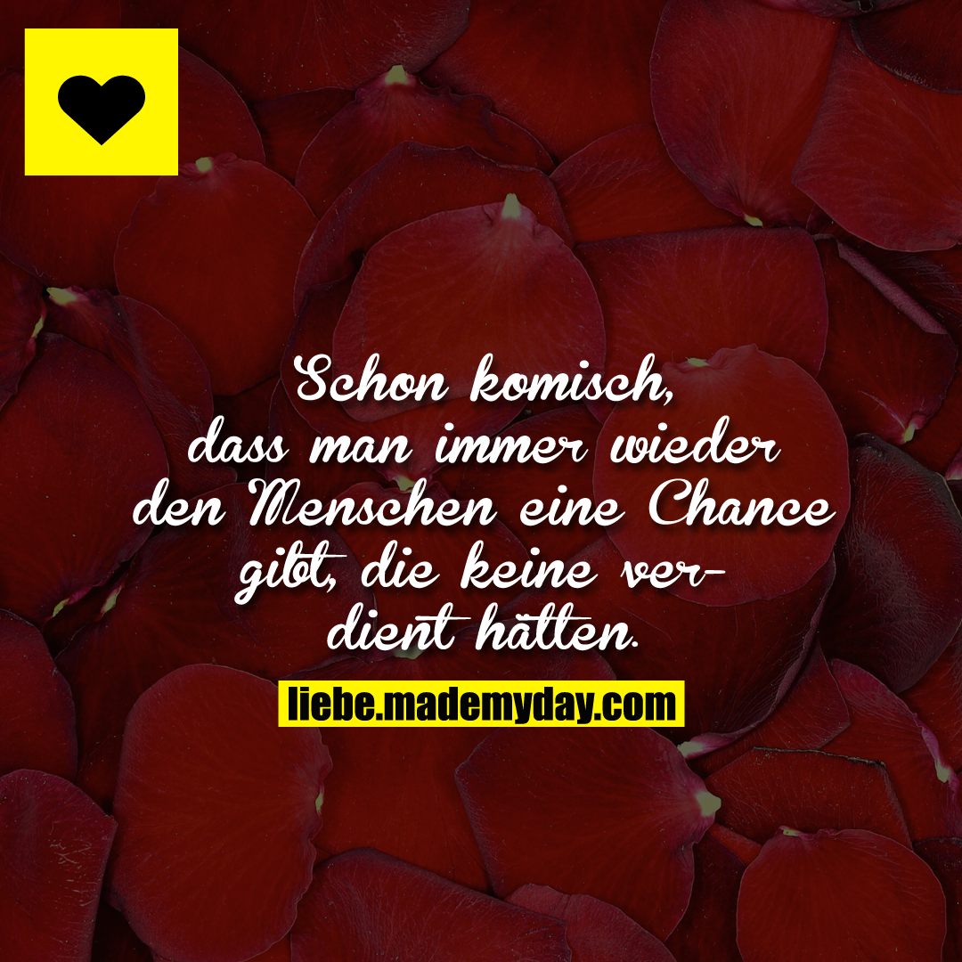 Schon komisch, dass man immer wieder den Menschen eine Chance gibt, die keine verdient hätten.