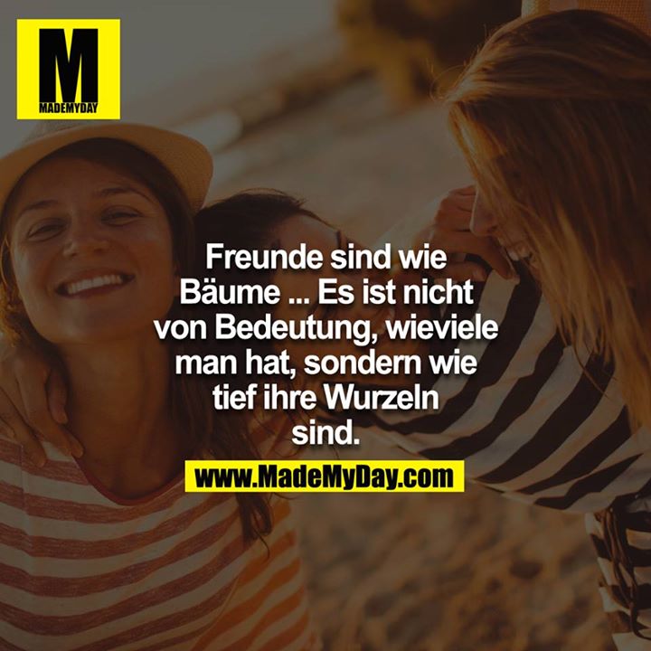 Freunde sind wie Bäume. Es ist nicht von Bedeutung wie viele man hat. Sondern wie tief ihre Wurzeln sind
