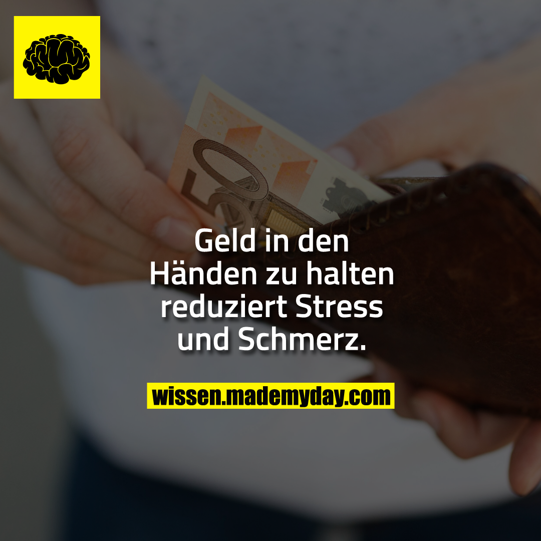 Geld in den Händen zu halten reduziert Stress und Schmerz.