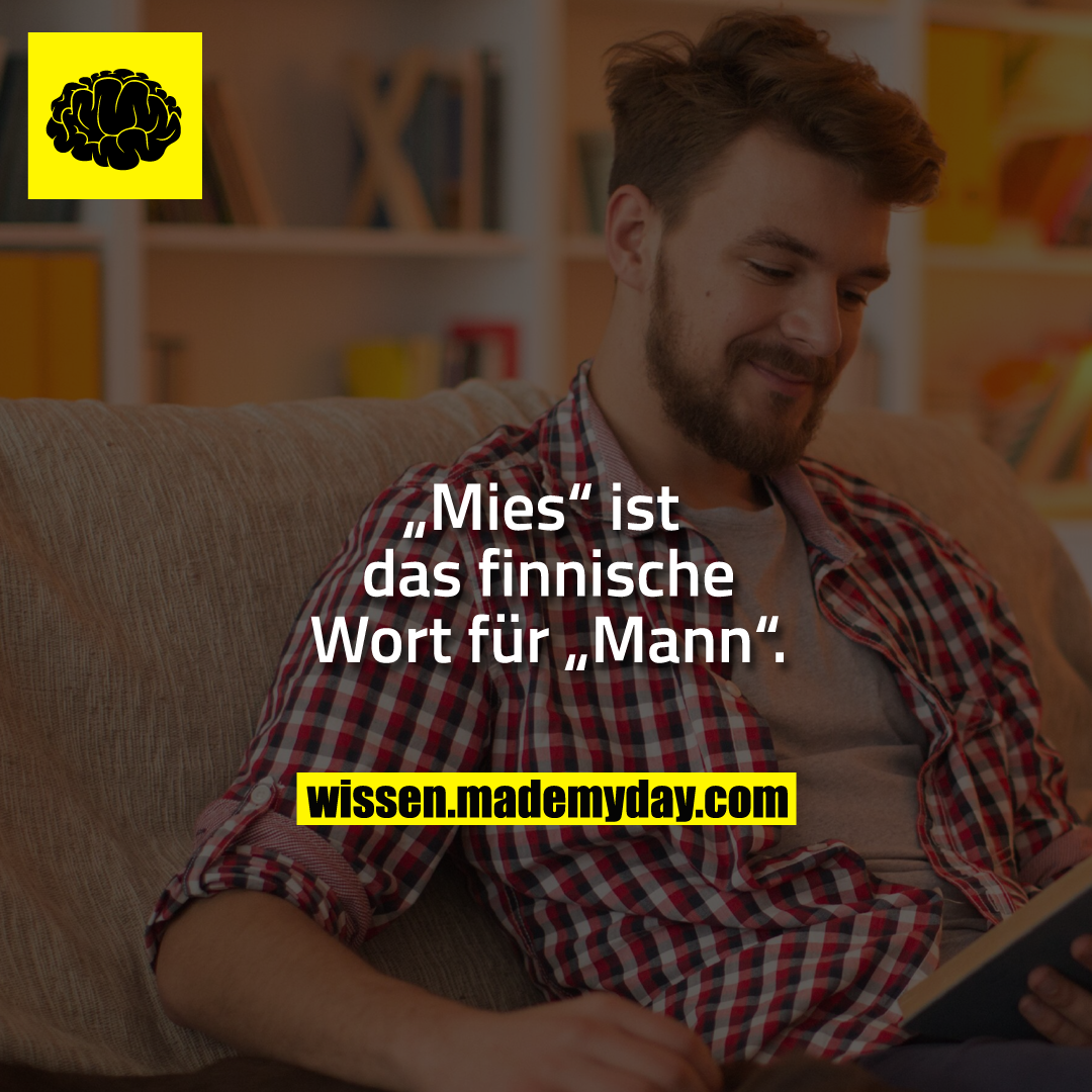 „Mies“ ist das finnische Wort für „Mann“.