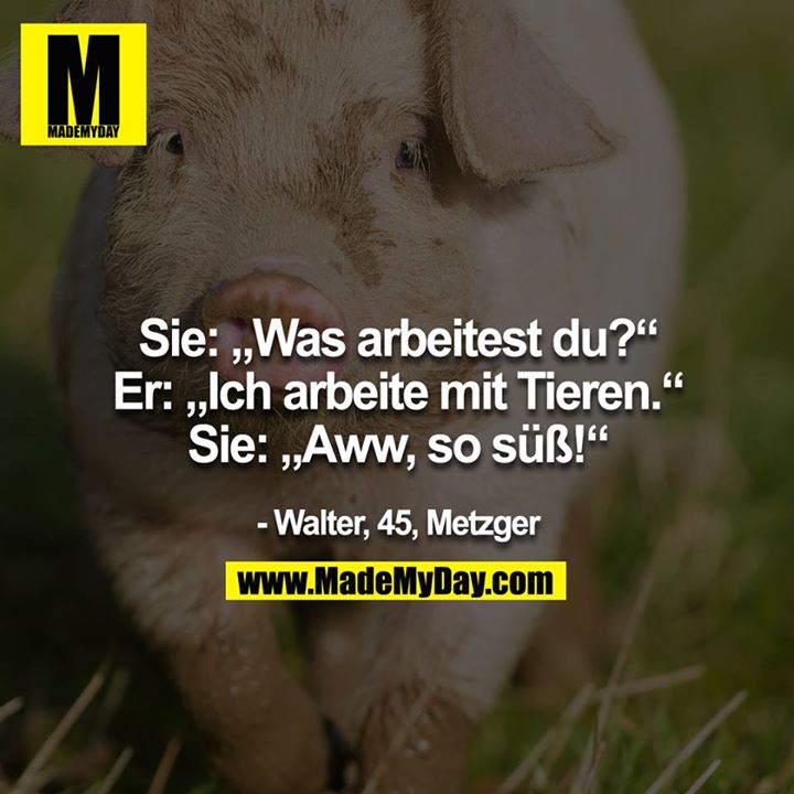 Sie: "Was arbeitest du?"<br />
Er: "Ich arbeite mit Tieren."<br />
Sie: "Aaww, so süss!!"<br />
- Walter, 45, Metzger