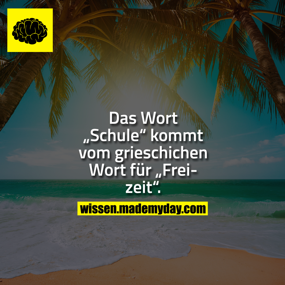 Das Wort „Schule“ kommt vom grieschichen Wort für „Freizeit“.