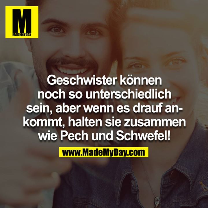 Geschwister können noch so unterschiedlich sein, aber wenn es drauf ankommt, halten sie zusammen wie Pech und Schwefel!<br />
