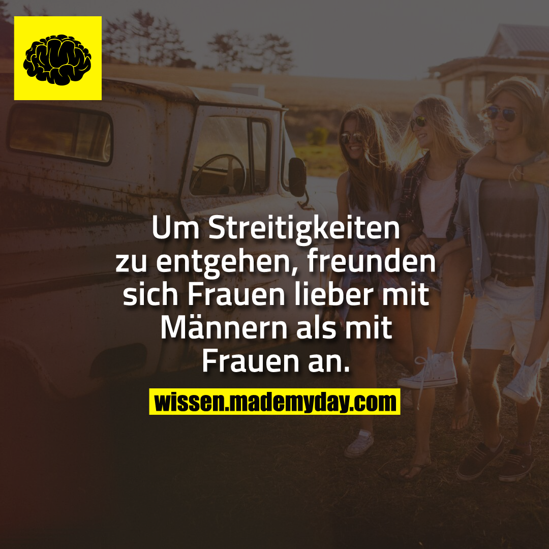 Um Streitigkeiten zu entgehen, freunden sich Frauen lieber mit Männern als mit Frauen an.