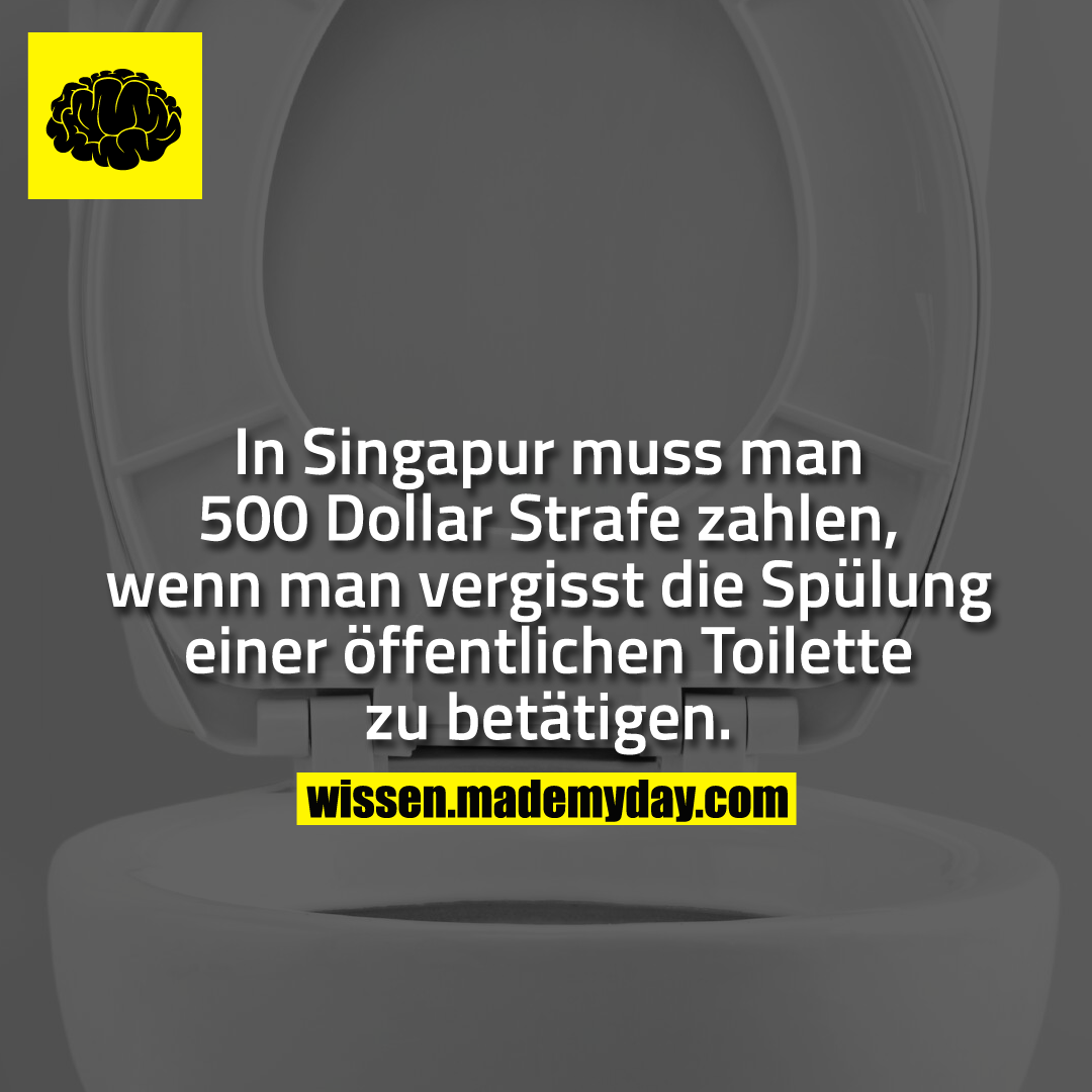 In Singapur muss man 500 Dollar Strafe zahlen, wenn man vergisst die Spülung einer öffentlichen Toilette zu betätigen.