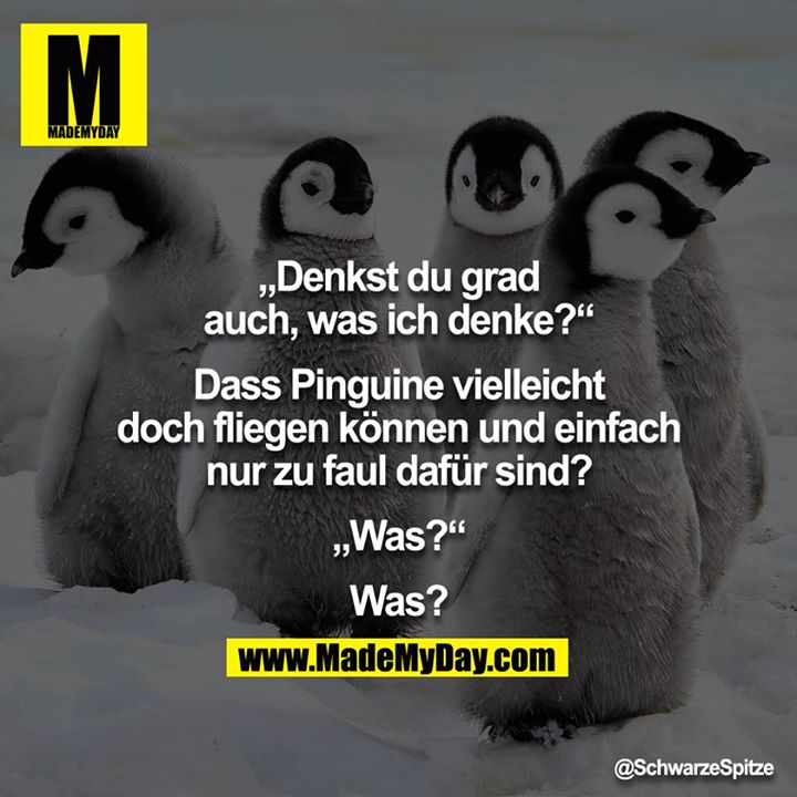 "Denkst du grad auch, was ich denke?"<br />
"Dass Pinguine vielleicht doch fliegen können und einfach nur zu faul dafür sind?"<br />
"Was?"<br />
"Was?"