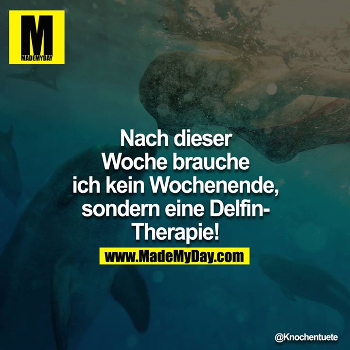 Nach dieser Woche brauche ich kein Wochenende, sondern eine Delfin-Therapie!