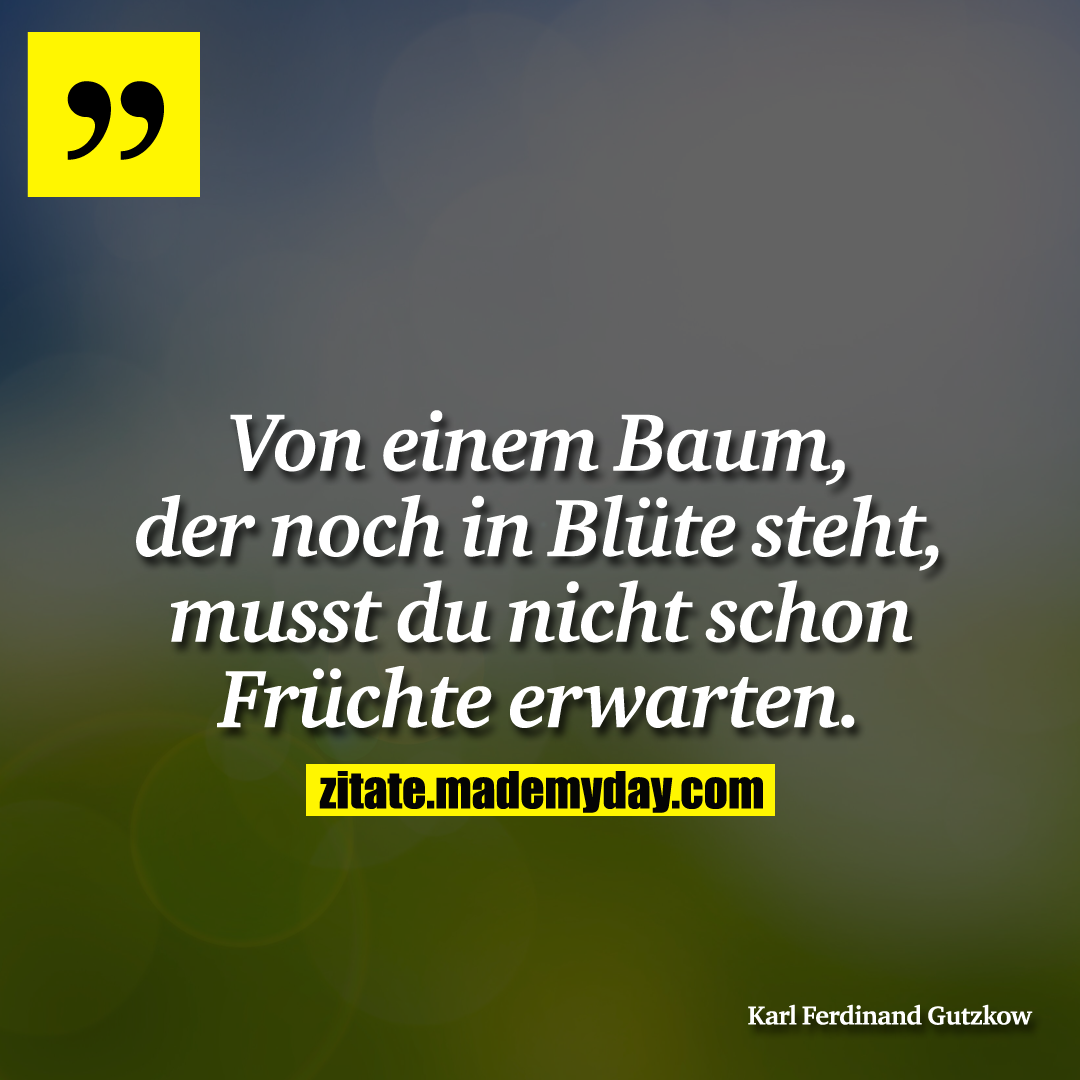 Von einem Baum, der noch in Blüte steht, musst du nicht schon Früchte erwarten.