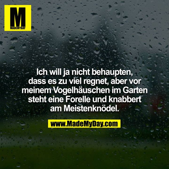 Ich will ja nicht behaupten, dass er zu viel regnet, aber vor meinem Vogelhäuschen im Garten steht eine Forelle und knabbert am Meistenknödel.