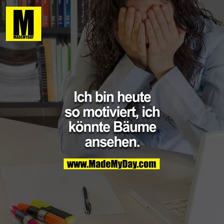 Ich bin heute so motiviert, ich könnte Bäume ansehen<br />
