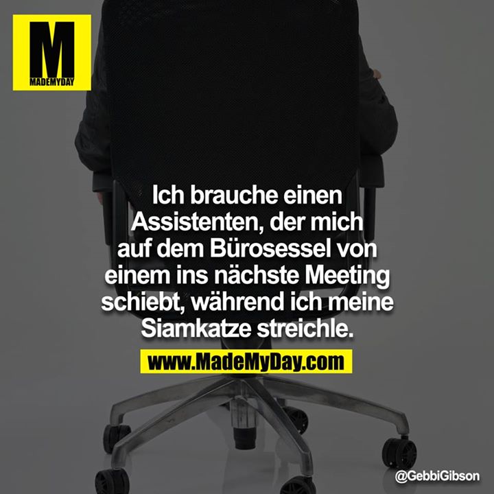 Ich brauche einen Assistenten, der mich auf dem Bürosessel von einem ins nächste Meeting schiebt, während ich meine Siamkatze streichle.<br />
