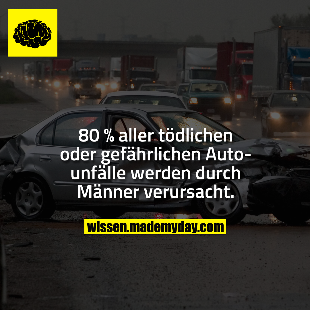 80 % aller tödlichen oder gefährlichen Autounfälle werden durch Männer verursacht.